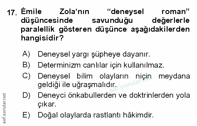 Soru 17