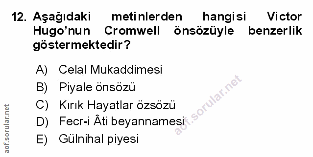 Soru 12