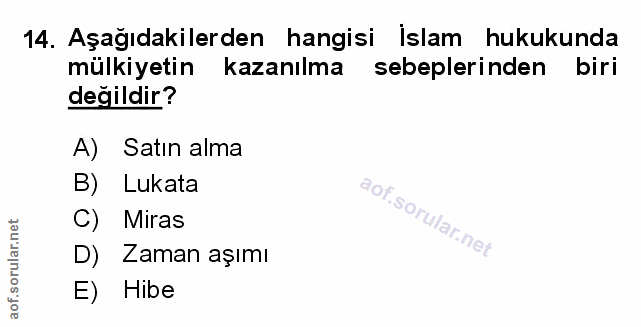 Soru 14