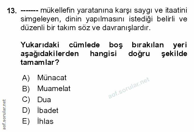 Soru 13