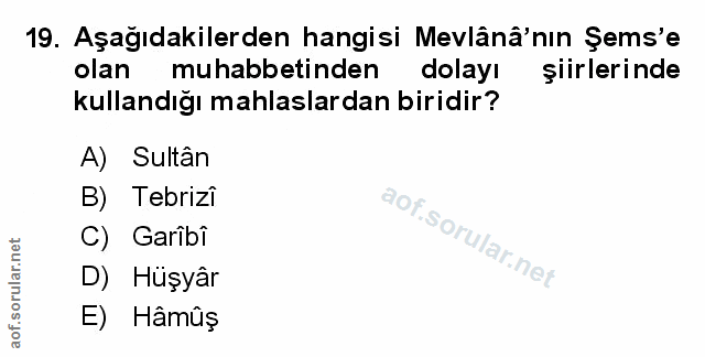 Soru 19