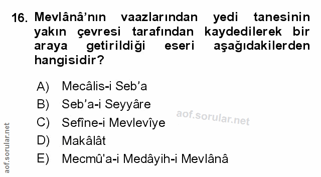 Soru 16