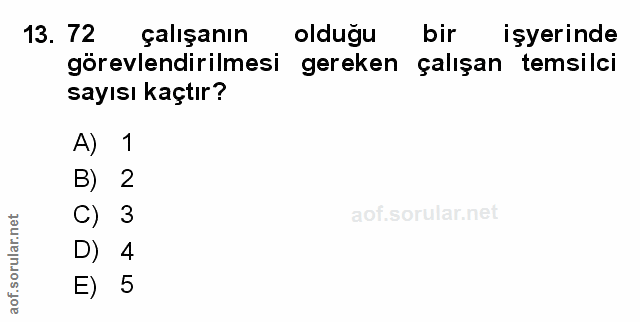 Soru 13
