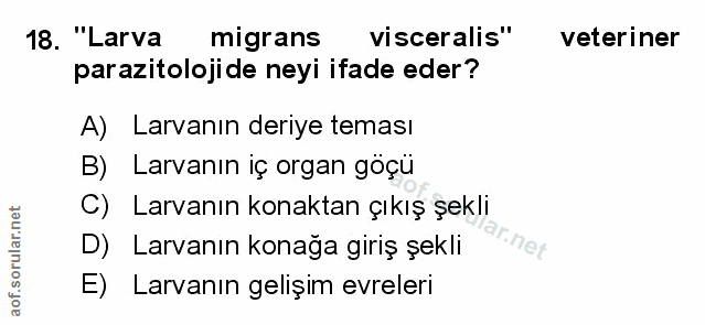 Soru 18