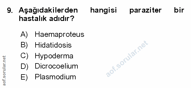 Soru 9