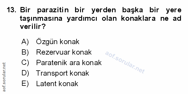 Soru 13