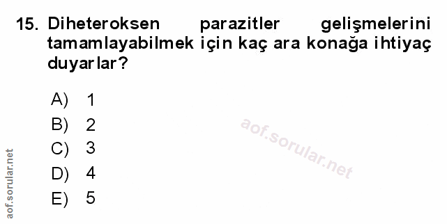 Soru 15