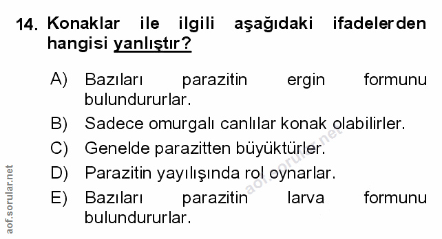 Soru 14