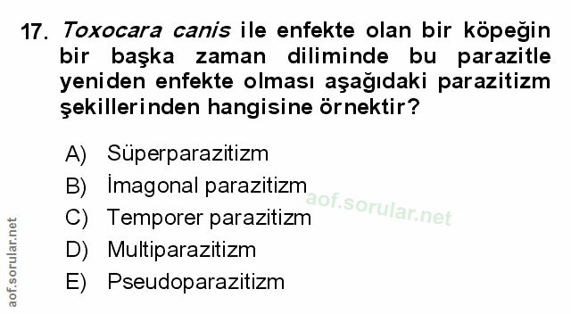 Soru 17