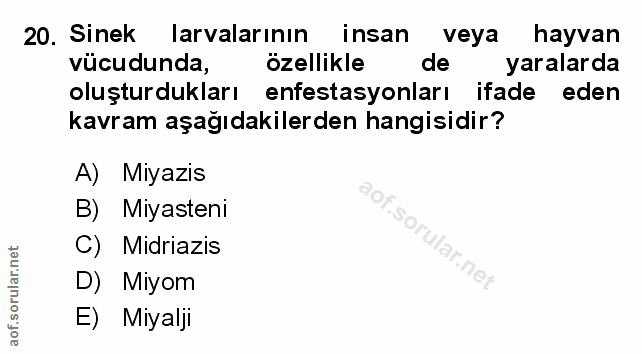 Soru 20