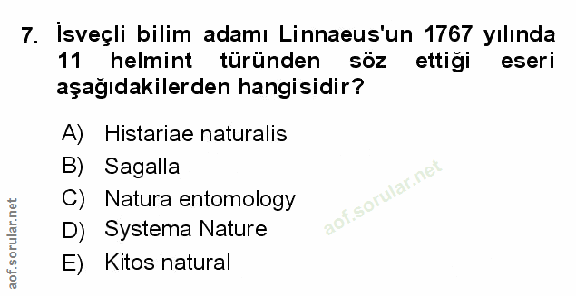 Soru 7