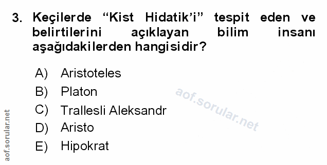 Soru 3