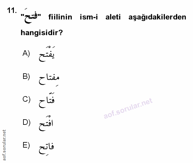 Soru 11