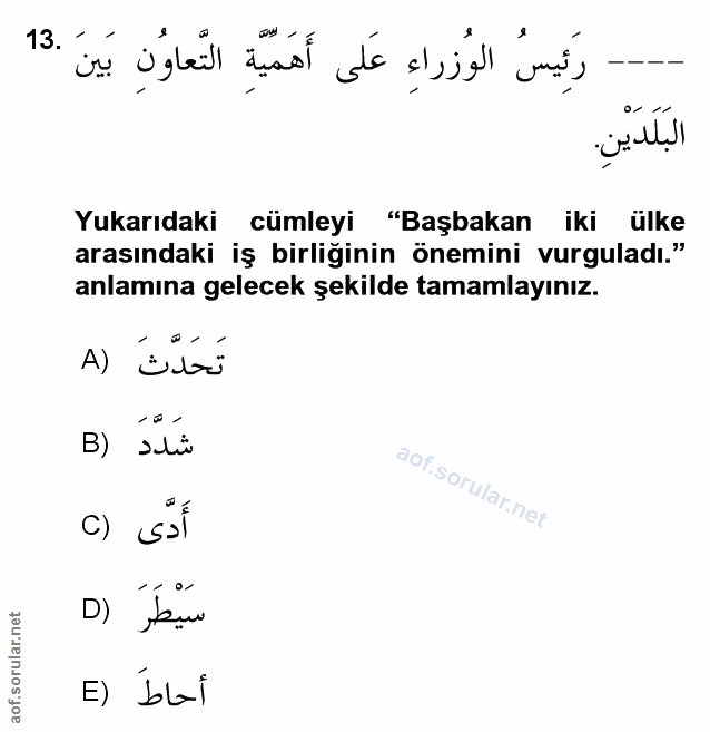 Soru 13