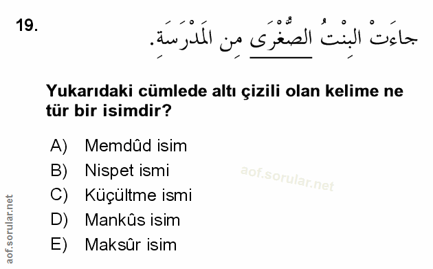 Soru 19