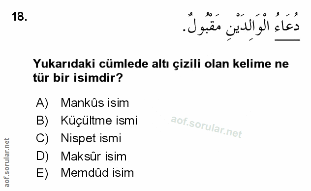 Soru 18