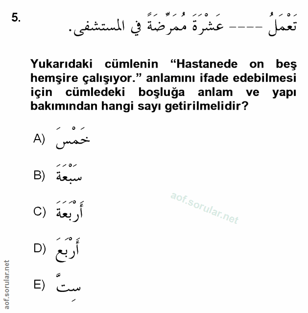 Soru 5