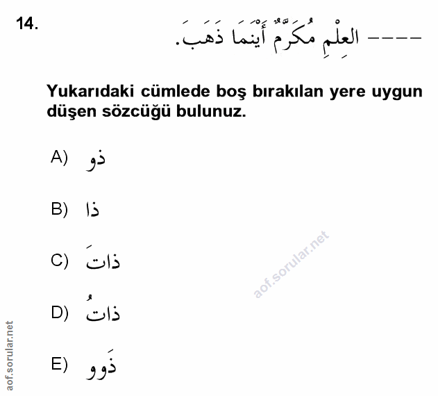 Soru 14