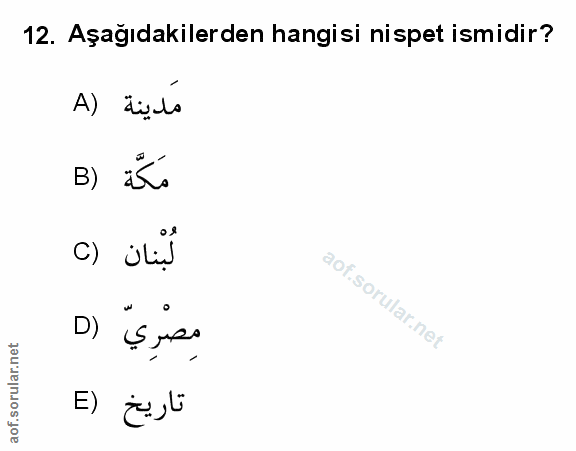Soru 12