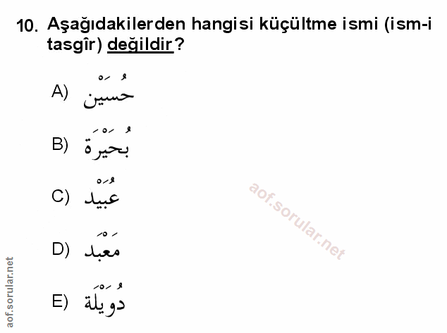 Soru 10