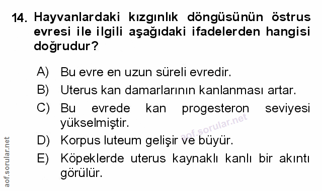 Soru 14