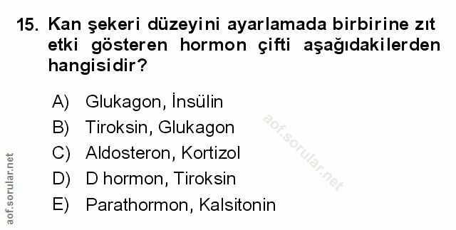 Soru 15