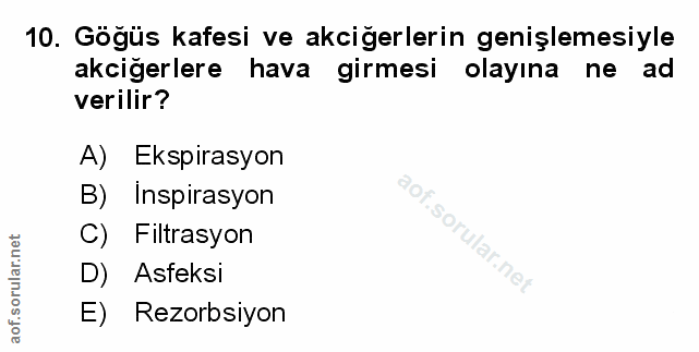 Soru 10