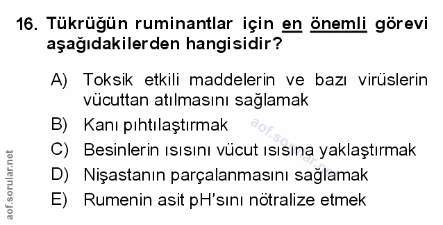 Soru 16