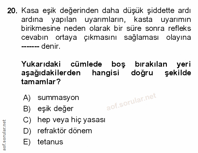 Soru 20
