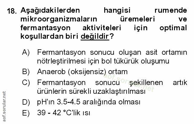 Soru 18