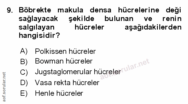 Soru 9