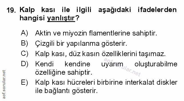 Soru 19