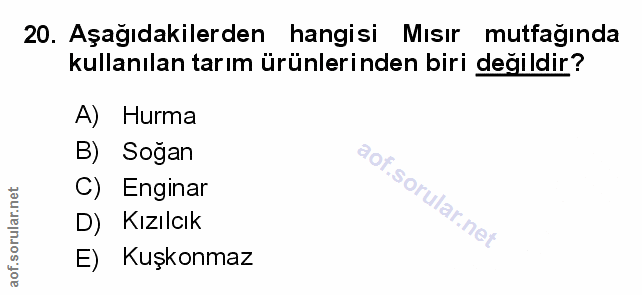 Soru 20