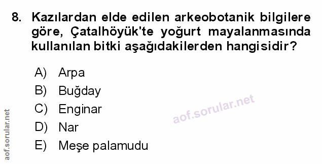 Soru 8