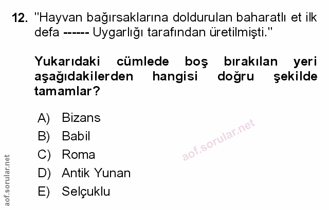 Soru 12