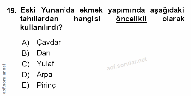 Soru 19
