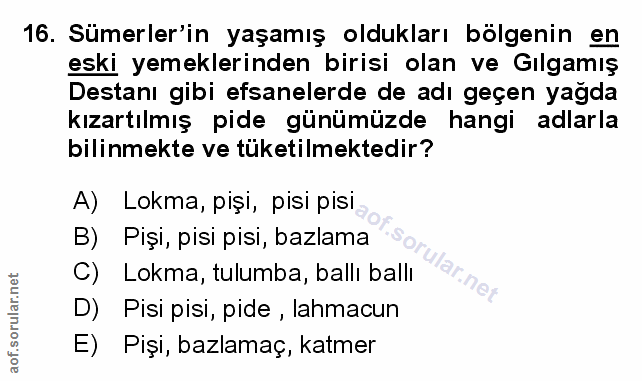 Soru 16