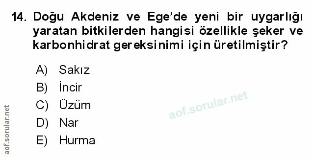 Soru 14