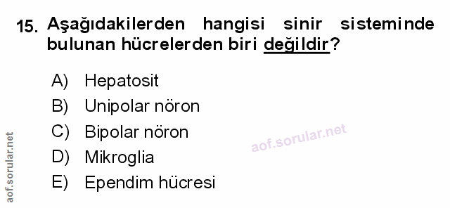 Soru 15