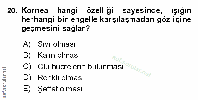 Soru 20