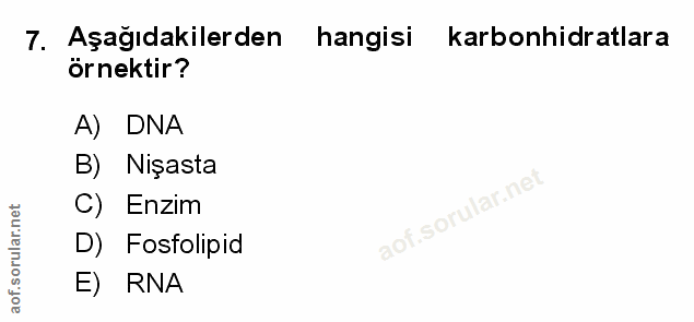 Soru 7