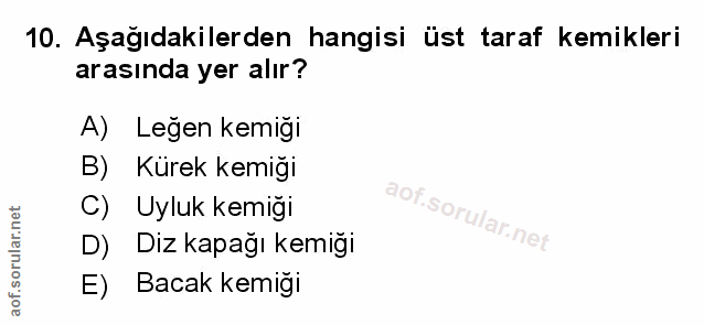 Soru 10