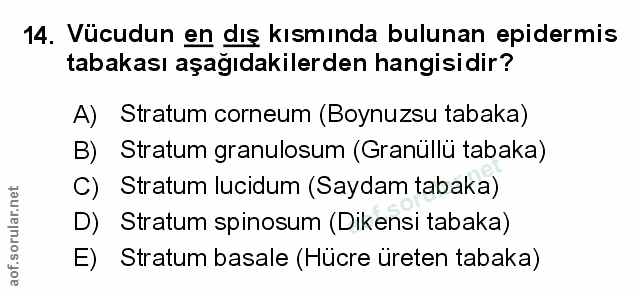 Soru 14