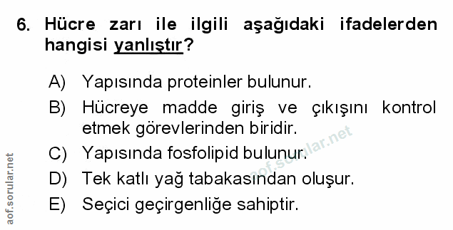 Soru 6