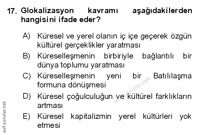 Soru 17