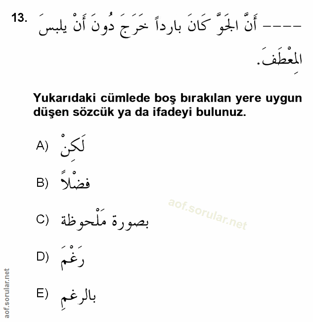 Soru 13