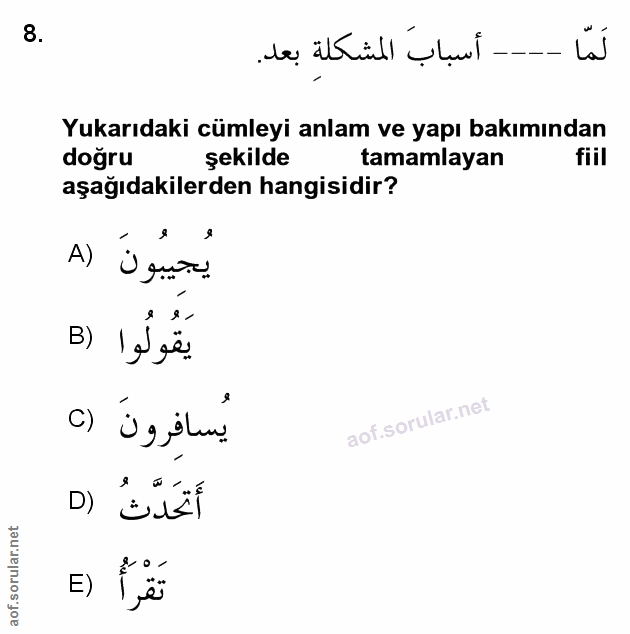 Soru 8