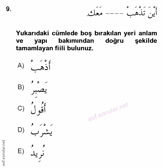 Soru 9