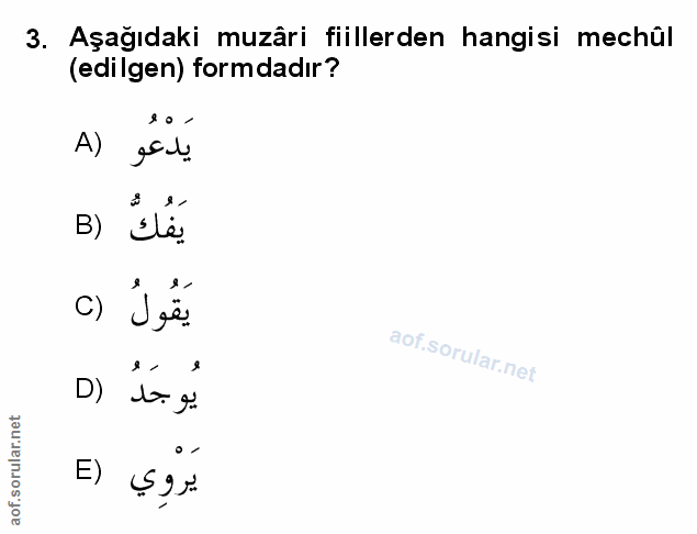 Soru 3
