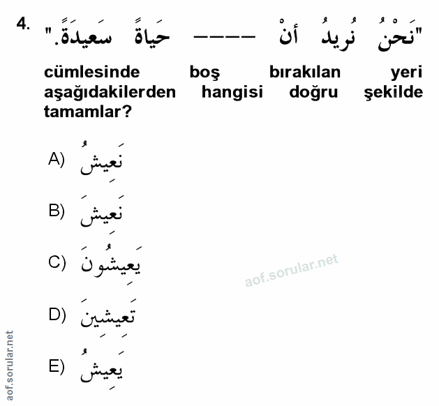 Soru 4